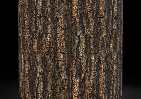 Wood Bark Texture 4K 6 | CGTrader