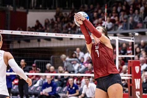 WSU wins back Cougar name over BYU in volleyball – The Daily Evergreen