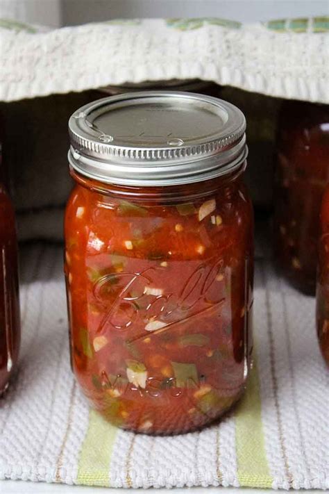 Homemade Salsa for Canning - Honeybunch Hunts