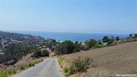 Life in Laguna Beach Hiking Trails Laguna Beach California