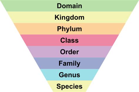 Taxonomy - Permawiki