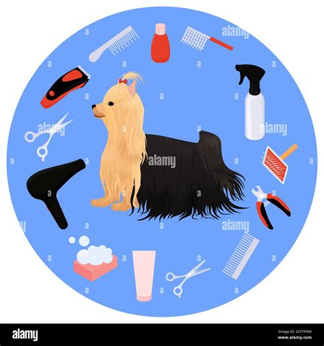 Dog grooming icons vector set and yorkshire terrier. cartoon illustration for beauty salon logo ...