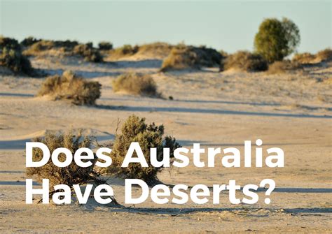 Does Australia Have Deserts? (All You NEED To Know!) - TravelPeri