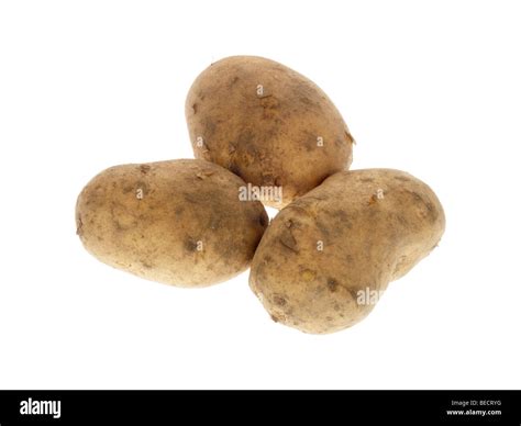 Maris Piper Potatoes Stock Photo - Alamy