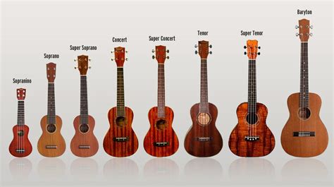 Différentes grandeurs | Ukulele, Ukulele music, Ukulele chords