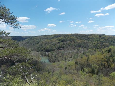 Red River Gorge, Kentucky - Floradise