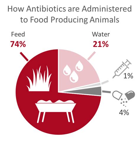 Antibiotics: excessive use in livestock and why it is a problem - Feed ...