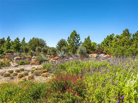 Houston Botanic Garden — Unknown Studio