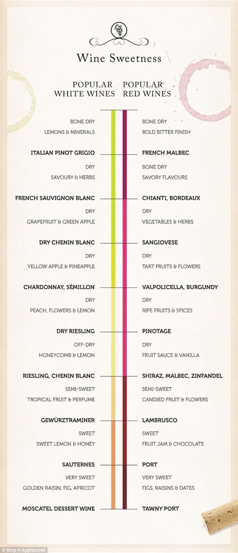 How much wine to pour and perfect food pairings | Daily Mail Online