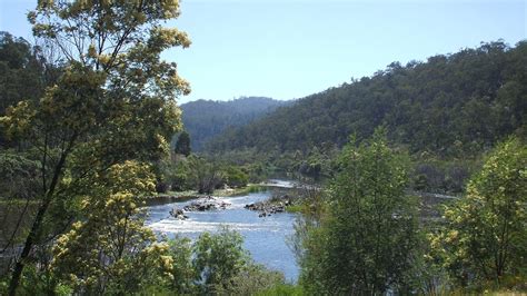 Five Day Snowy River and Errinundra Explorer Tour, Tour, Gippsland, Victoria, Australia