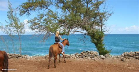 Maui Horseback Riding Tickets | Discount Horseback Tours