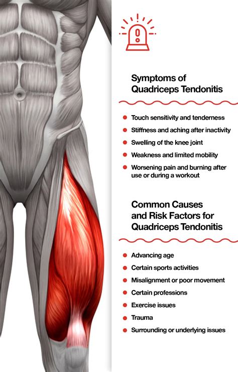 Quadriceps Tendonitis: Symptoms, Stretches, Strengthening Solutions – The Amino Company