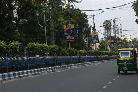 Trees to be watered daily: Kolkata Municipal Corporation revise its tree watering schedule ...