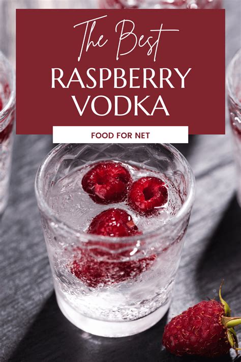 The Best Raspberry Vodka | Food For Net