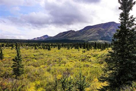 Denali National Park Weather and Temperature Averages