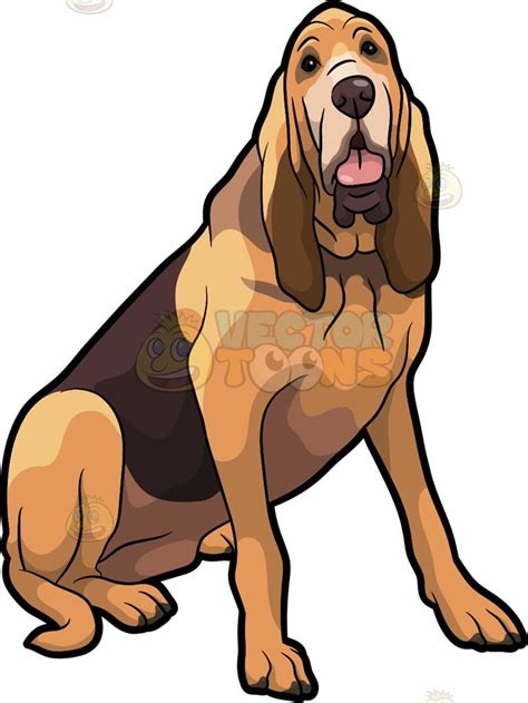 A Friendly Bloodhound Pet Dog | Dog sketch, Bloodhound, Dog art