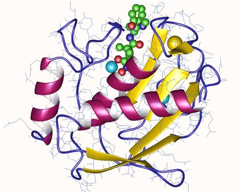 Matrix Metalloproteinase 1; Interstitial Collagenase