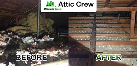 Attic Clean Up » Attic Crew