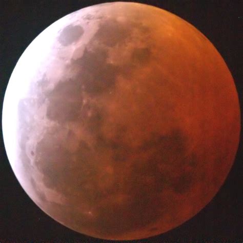 Lunar eclipse Free Photo Download | FreeImages