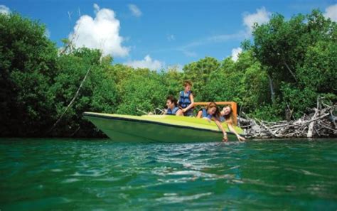 Top 10 Activities to do in Riviera Maya with kids | Amstar DMC Blog