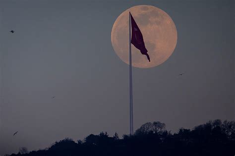 Why this Weekend's Full Moon is Called the 'Pink Moon'