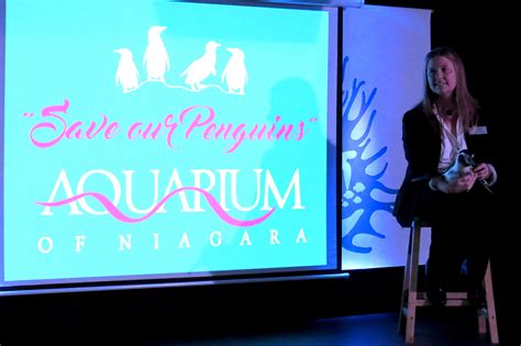 VIDEO: Aquarium of Niagara asks community to 'Save our Penguins'