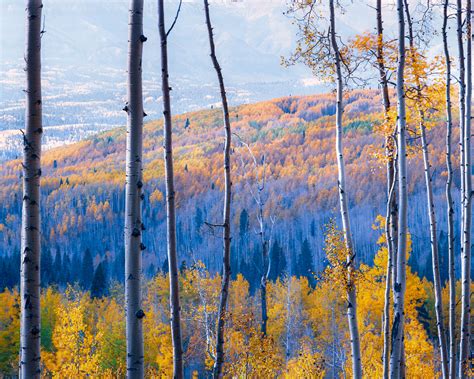 How to Photograph Fall Colors