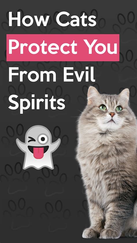 Cats and Spirits - How Cats Protect You Against Evil Spirits | Catastic ...