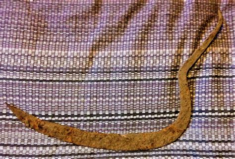 Ancient Iron Age Large Iron Sickle Circa 200BC | Etsy