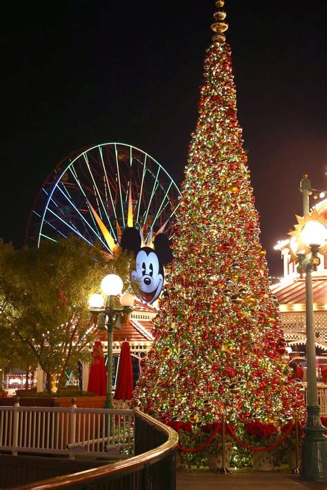 10 Reasons to Visit Disneyland Resort During the Holidays - La Jolla Mom