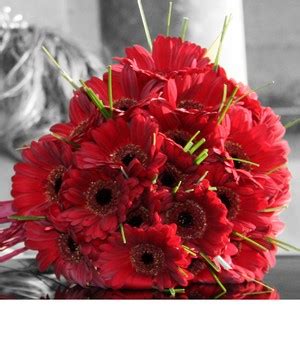 red-gerbera-bouquet - Bouquet Wedding Flower