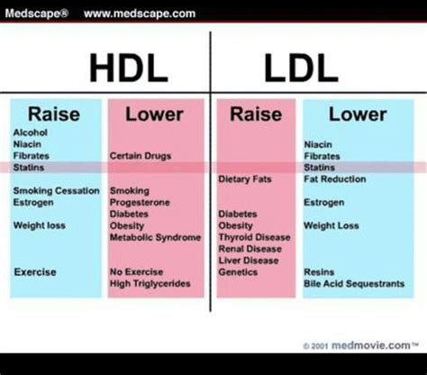 HDL vs LDL | What causes high cholesterol, Hdl ldl, Cholesterol ...