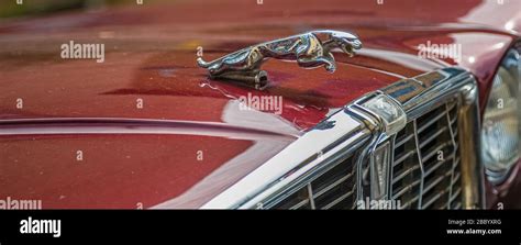 Jaguar Hood Ornament Stock Photo - Alamy