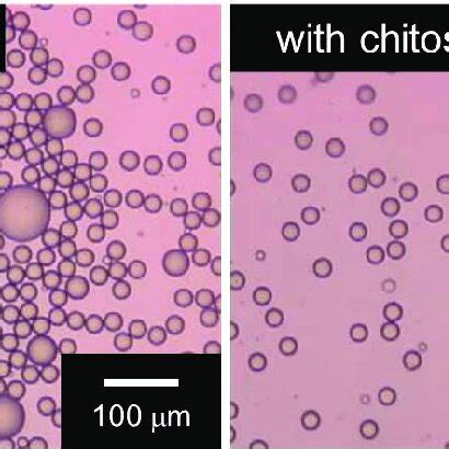 Photomicrographs of soybean oil-in-water emulsion stabilized by... | Download Scientific Diagram