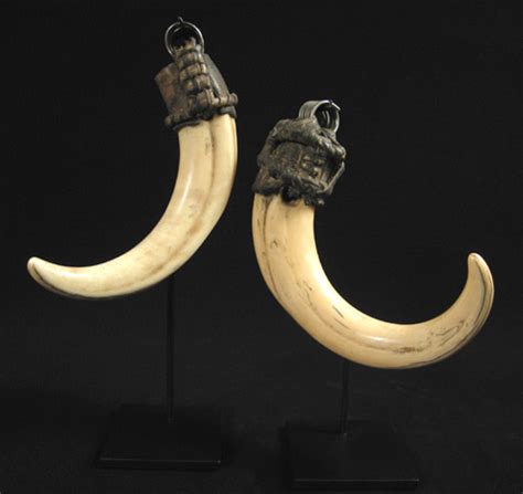 African Tribal Art - Wart hog tusks, Ethiopia