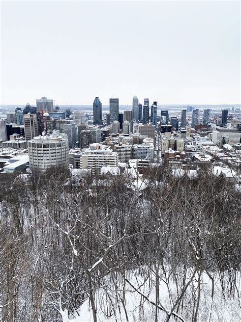 Montreal in Winter - 2023 Guide | To Europe and Beyond | Montreal in ...