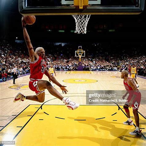 Dennis Rodman Rebound Photos and Premium High Res Pictures - Getty Images