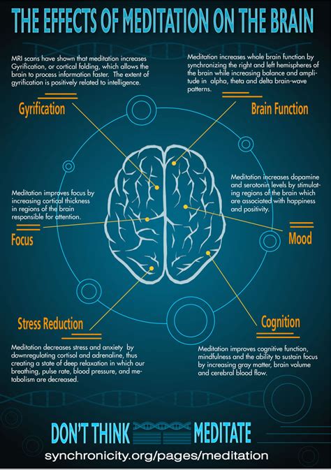 Free Infographic: Effects of Meditation on the Brain – Synchronicity Foundation