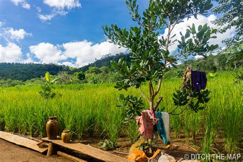 2 Days in Mondulkiri, Cambodia - Travel Blog and World Class Photography - Travel Blog - Ditch ...