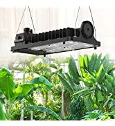 Amazon.com: SANSI 2200W LED Grow Light with High PPFD LM301B Diodes Dimmable Lights Full ...