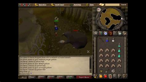 RuneScape '07 Giant Mole Solo (with Commentary) - YouTube