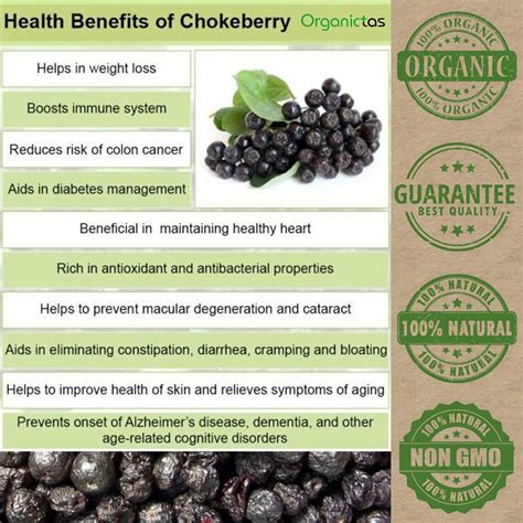 ARONIA BERRIES Dried Organic Many Health Benefits Healthy Nutrition ...