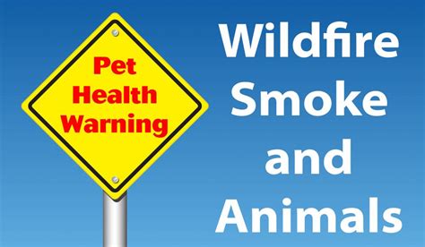 Wildfire Smoke and Animals - Joint Animal Services