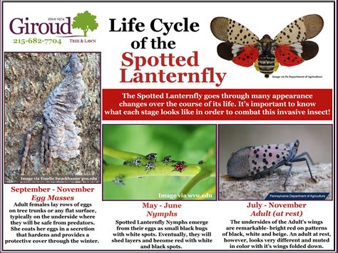 The PA Department of Agriculture is Asking for the Public's Help to Destroy Spotted Lanternfly ...