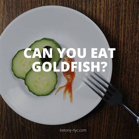 10 Surprising Facts About Goldfish: Can You Eat Them? - Betony