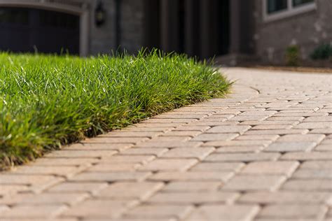 Paver Driveway - Lawn Butler