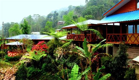 5 Stunning Organic Villages In Sikkim, That You Havent Seen On Your Facebook Newsfeed Yet - Tripoto