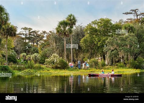 Silver Springs Florida one of oldest tourist attractions with kayaks and people on deck springs ...