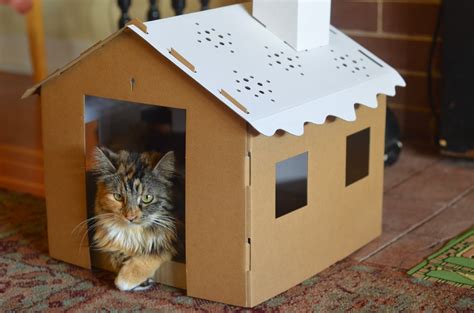 Cat houses from cardboard boxes - Brenda's Heart of Gold