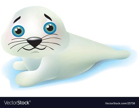 Cute baby harp seal Royalty Free Vector Image - VectorStock